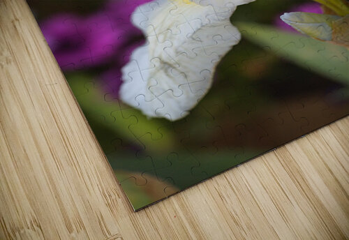 Small White Iris Flower Joy Watson puzzle