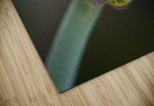 Garlic Bud Spring Joy Watson puzzle