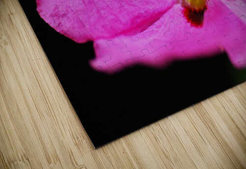 Hibiscus Australian Joy Watson puzzle