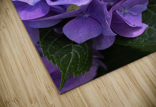 Hydrangea Blue Pink Joy Watson puzzle