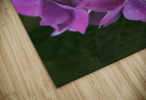 Hydrangea Flower Wonderful Pinks  Joy Watson puzzle