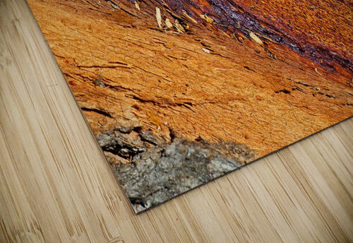 Eucalyptus Tree Natural Layers Joy Watson puzzle