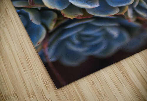 Succulent In Blues Joy Watson puzzle
