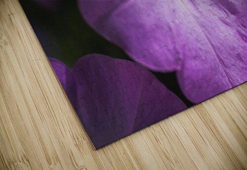 Pink Petunia Bloom Joy Watson puzzle