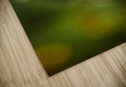 Looking Over Nigella Bloom Joy Watson puzzle