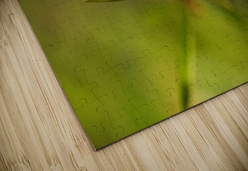 Tea Tree Buds Grow Joy Watson puzzle