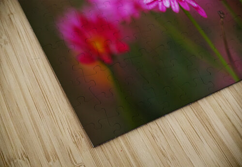 Hot Pinks Double Flower Joy Watson puzzle