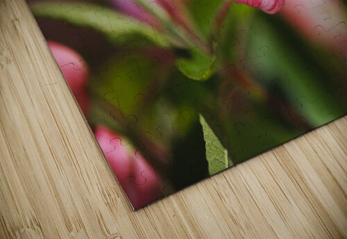 Spring Blossom Cheers  Joy Watson puzzle
