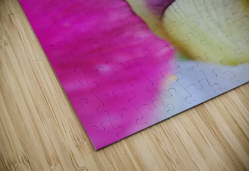 Iris Bud Hiding   Joy Watson puzzle