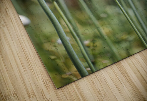Many Garlic Buds  Joy Watson puzzle