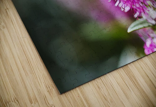 Hebe Flower  Joy Watson puzzle