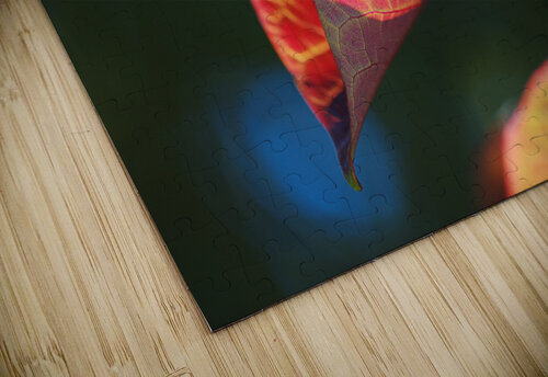 A Red Summer Leaf  Joy Watson puzzle