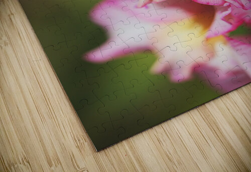 The Sword Lily Joy Watson puzzle