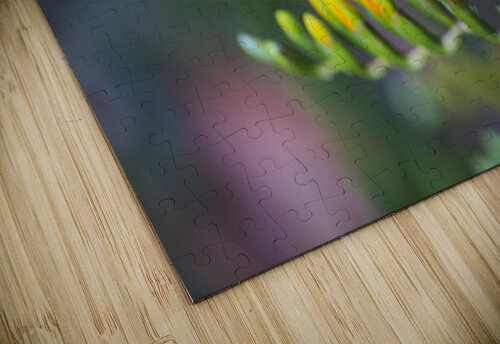 Freesia Yellow Opening Hand Joy Watson puzzle