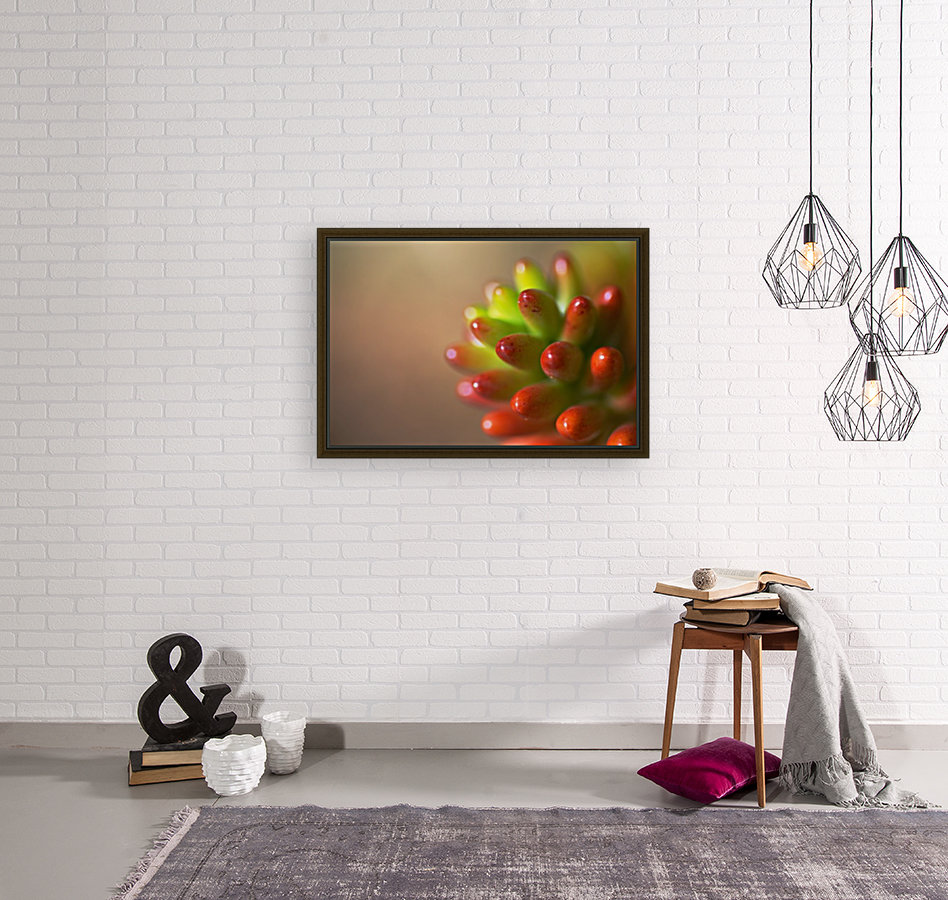 Cactus Romance Reproduction