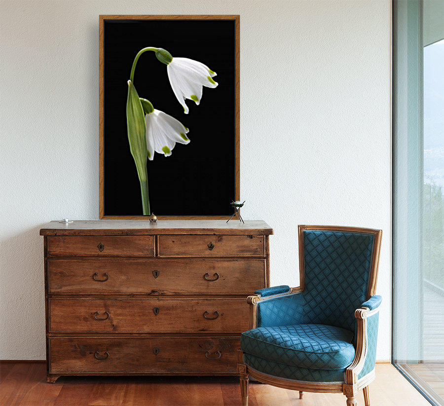 Spring Snowdrop Flowers Reproduction