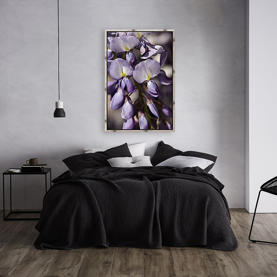 Wisteria Reproduction