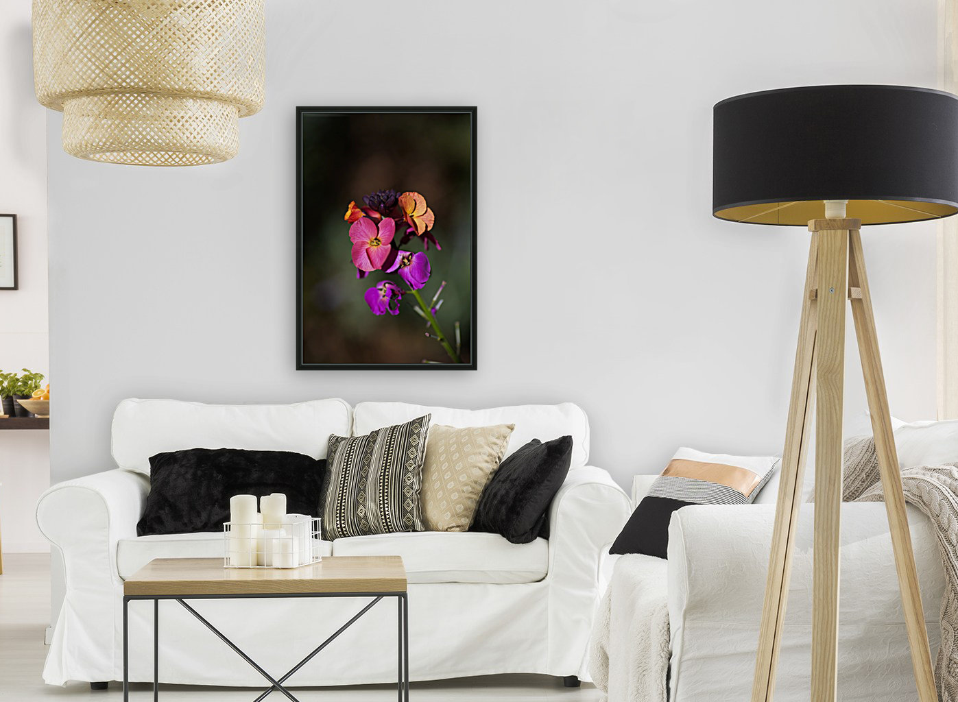 Wallflower Reproduction