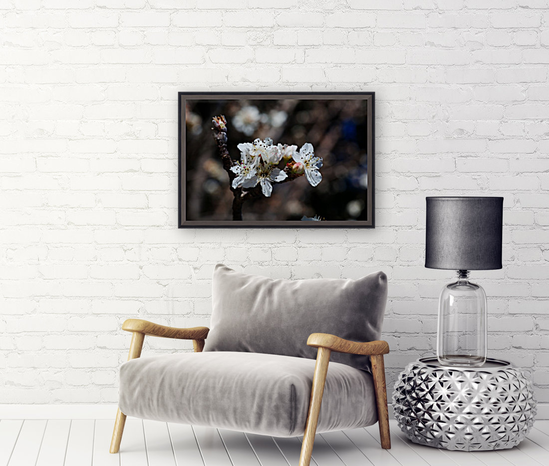White Spring Blossom Reproduction