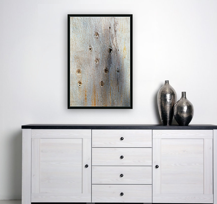 Eucalyptus Trunk Knots Reproduction