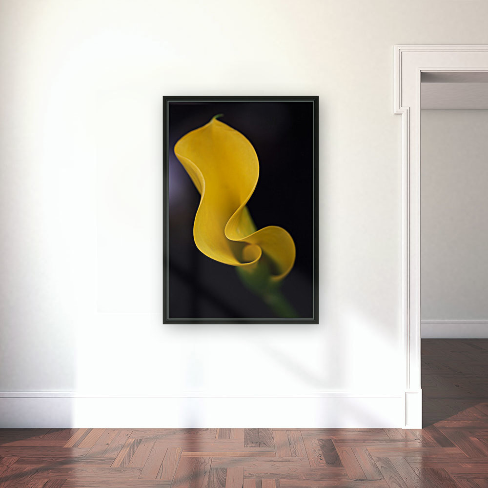 Calla Lily Reproduction