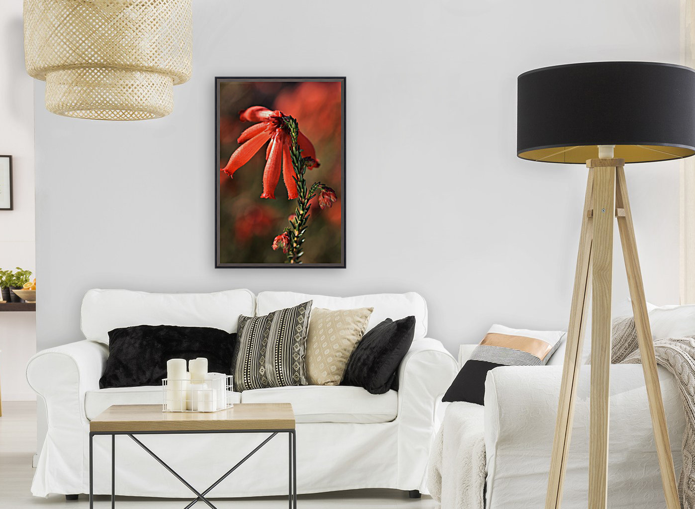 Hot Red Flower Reproduction