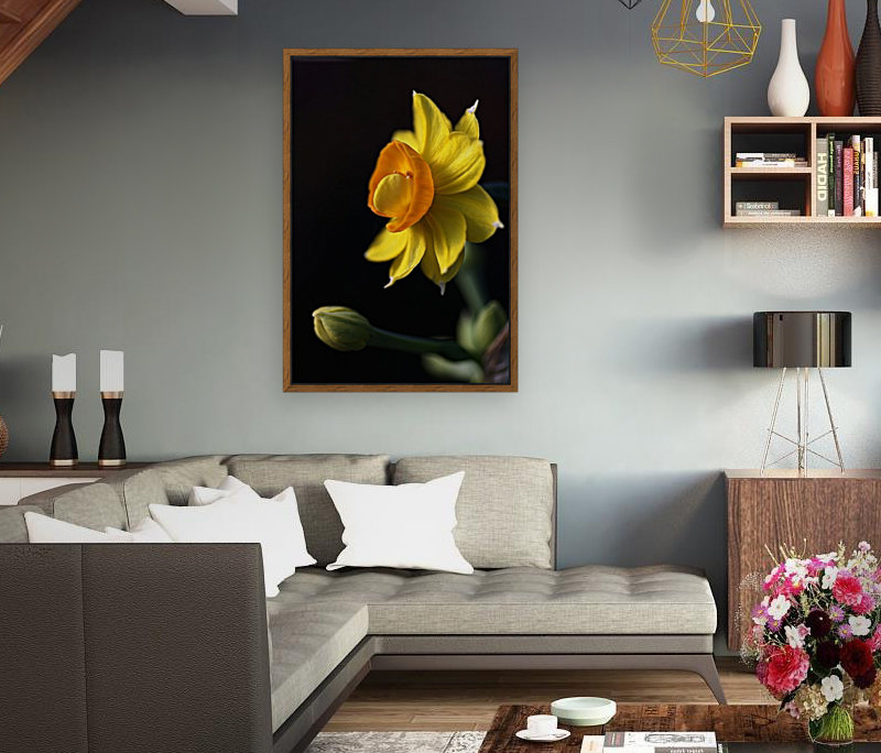 Daffodil Delight Reproduction