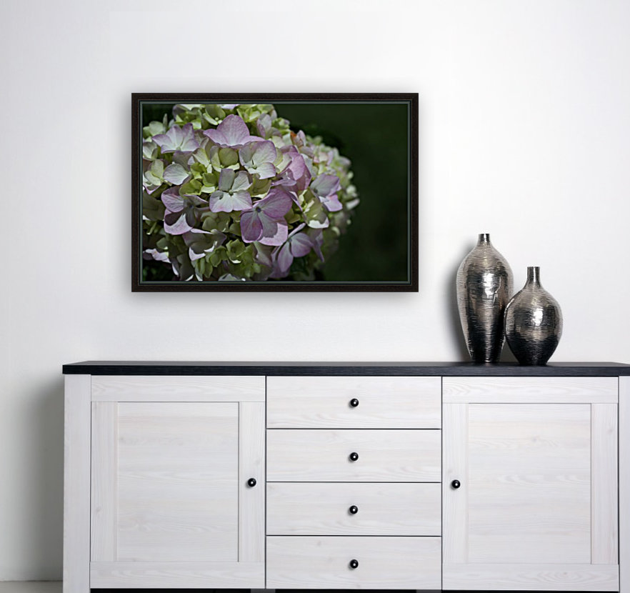 Hydrangea Flower Reproduction