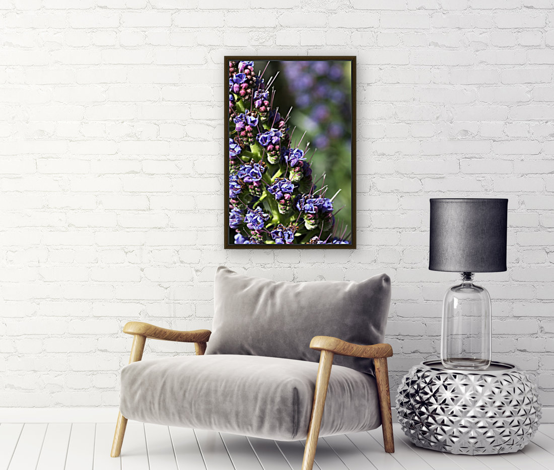 Veronica Flower Reproduction