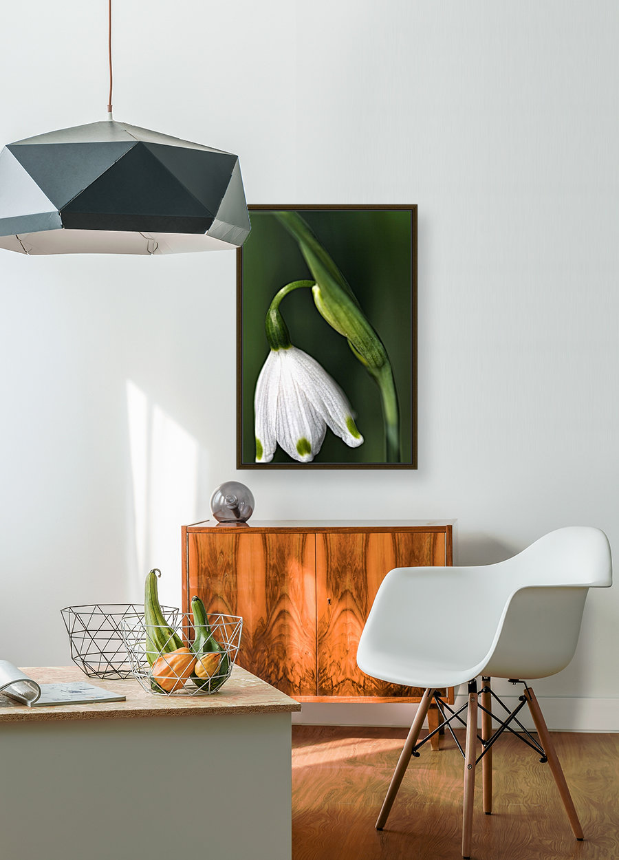 SPRING SNOWDROP FLOWER  Reproduction