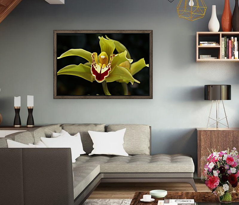 Green Orchid Reproduction
