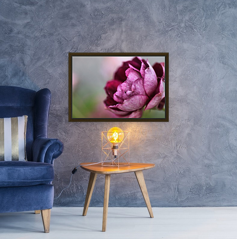 Soft Rose Reproduction