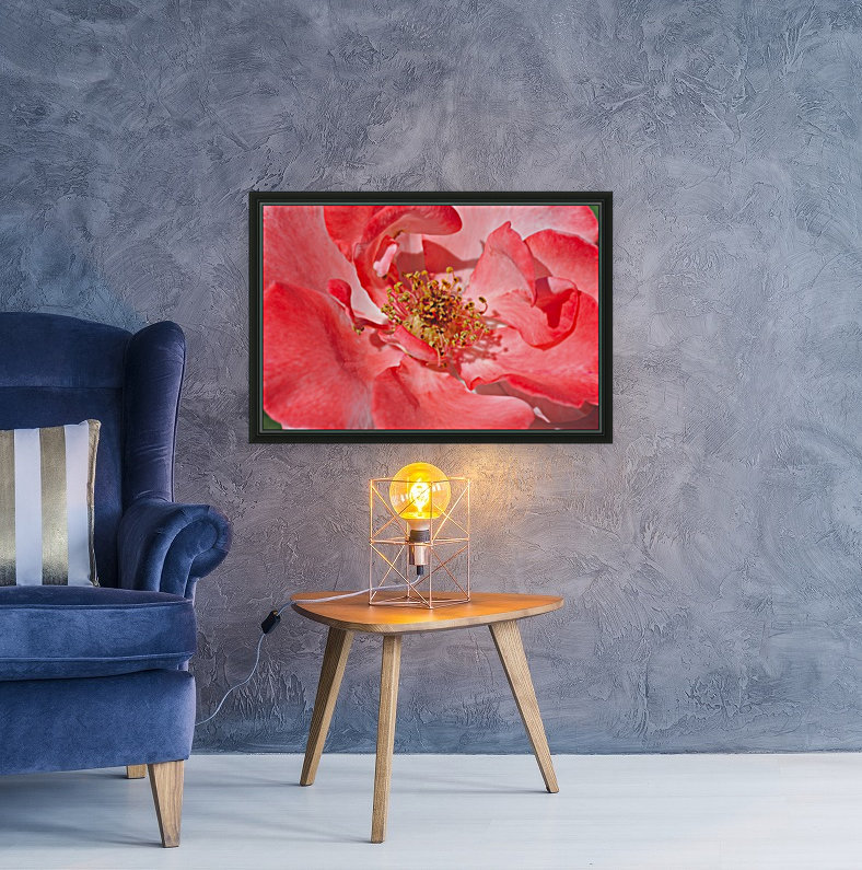 Red Rose Middle Reproduction
