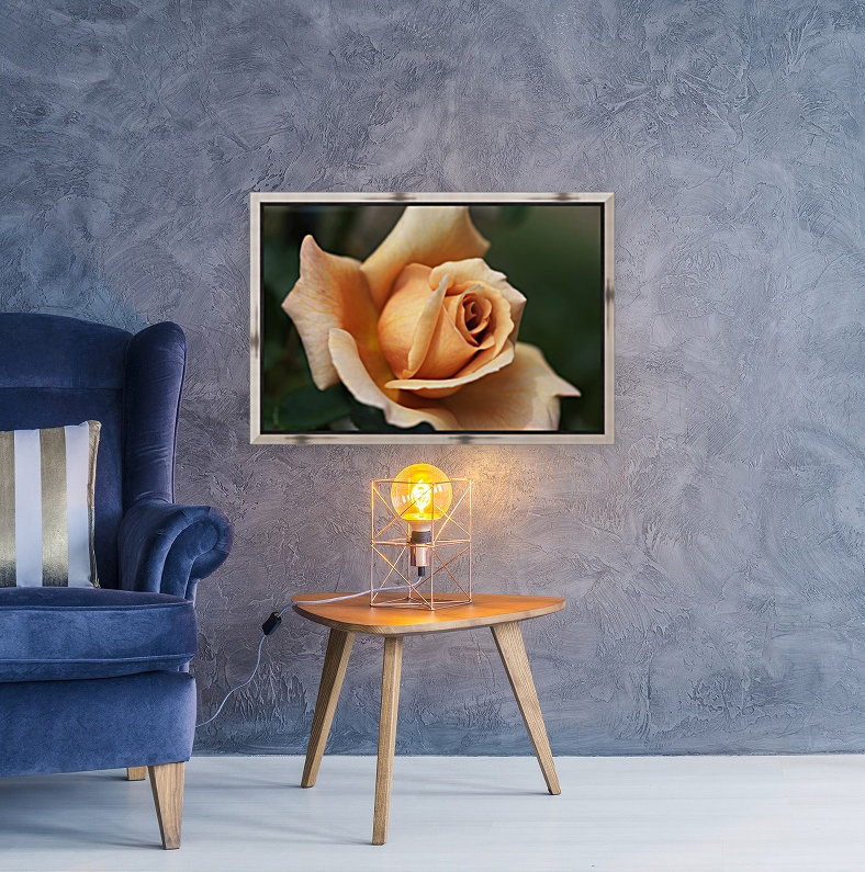 Julias Rose Reproduction
