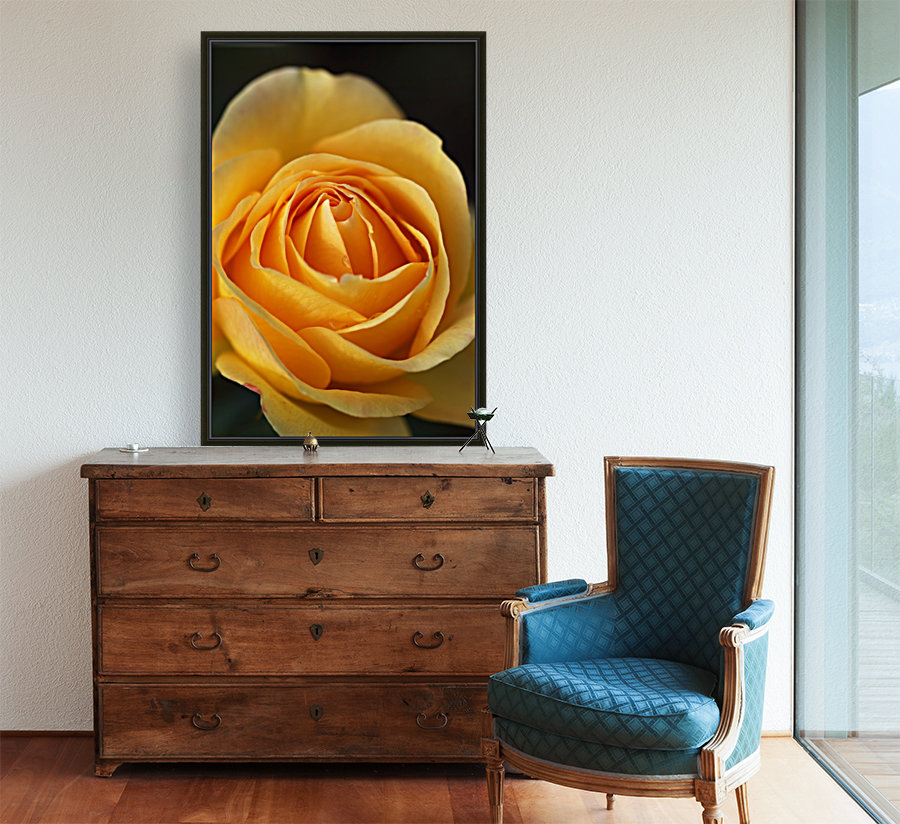 Orange Rose Delight Reproduction