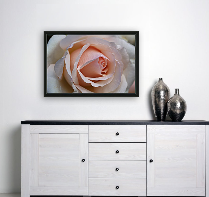 Rose Love Reproduction