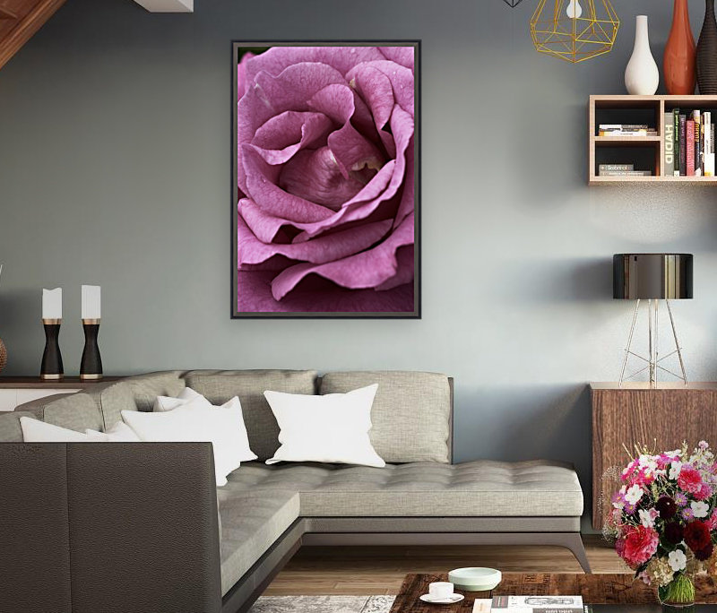 Mauve Rose Reproduction