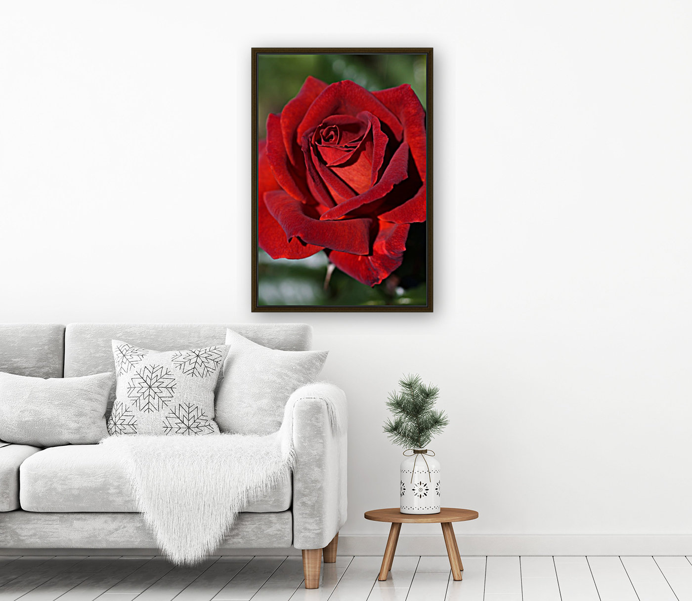 Hot Chocolate Rose Reproduction
