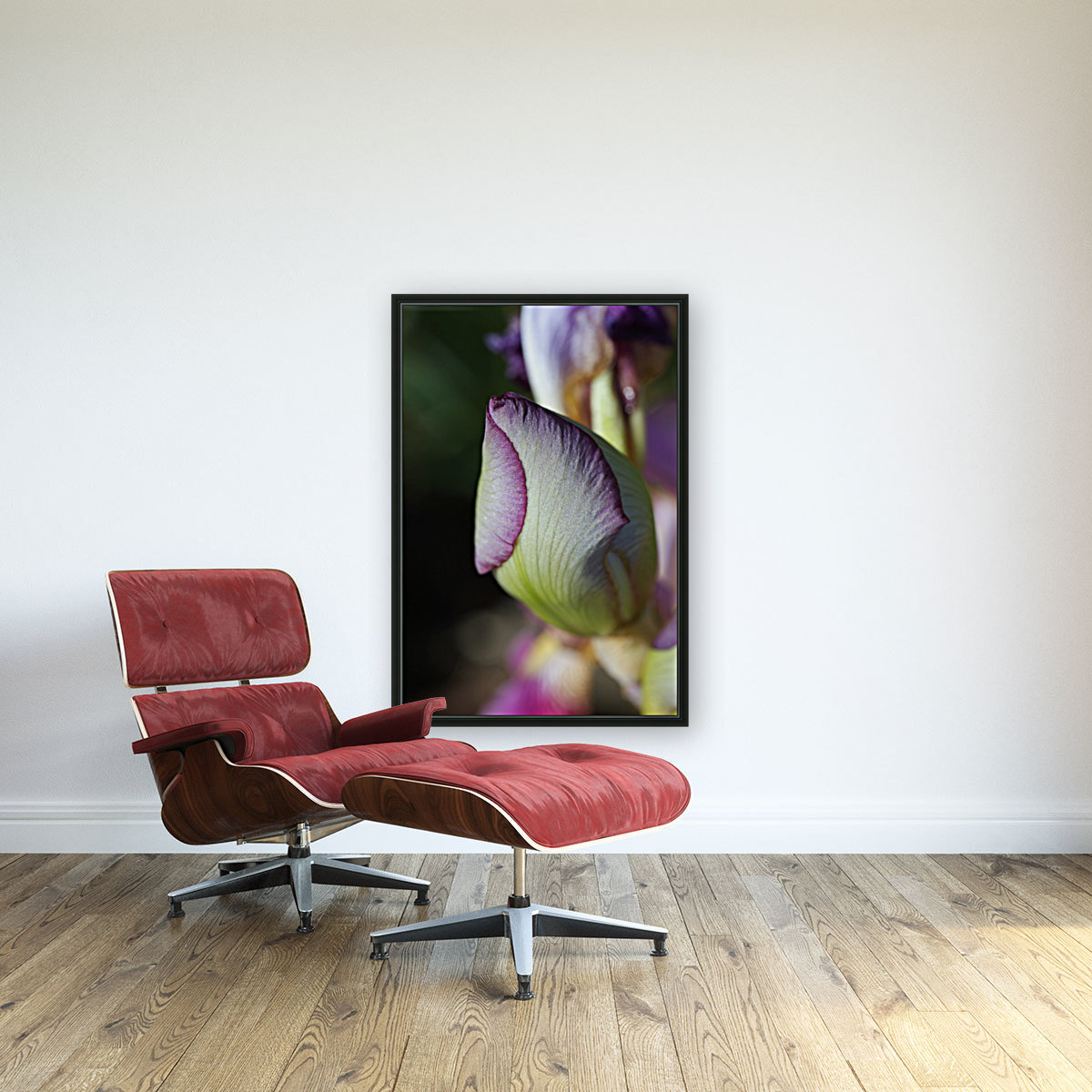Purple Iris Bud Reproduction