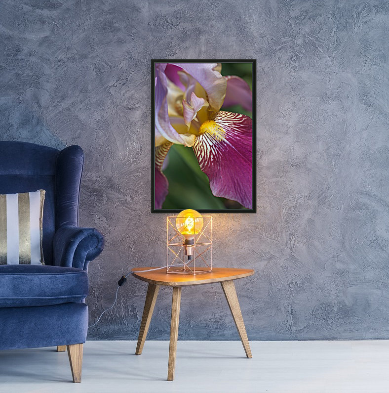 Purple Iris Flower Reproduction