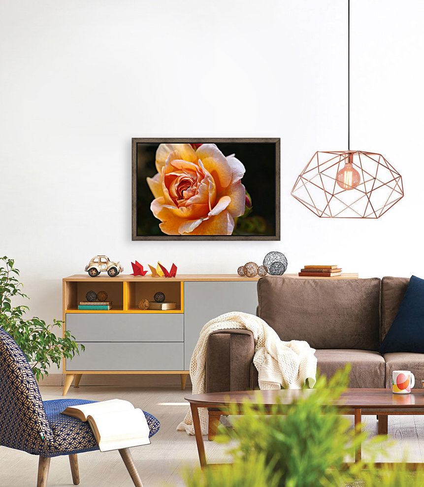 Lush Orange Rose Reproduction