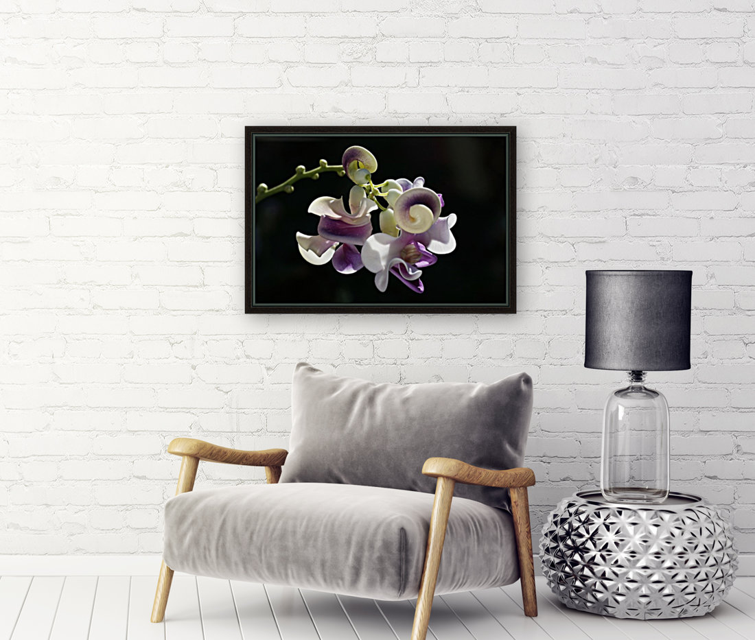Corkscrew Flower Reproduction