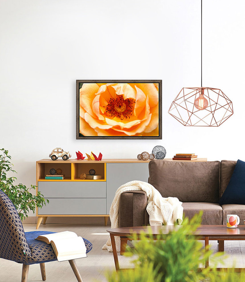 Orange Rose Eye Reproduction
