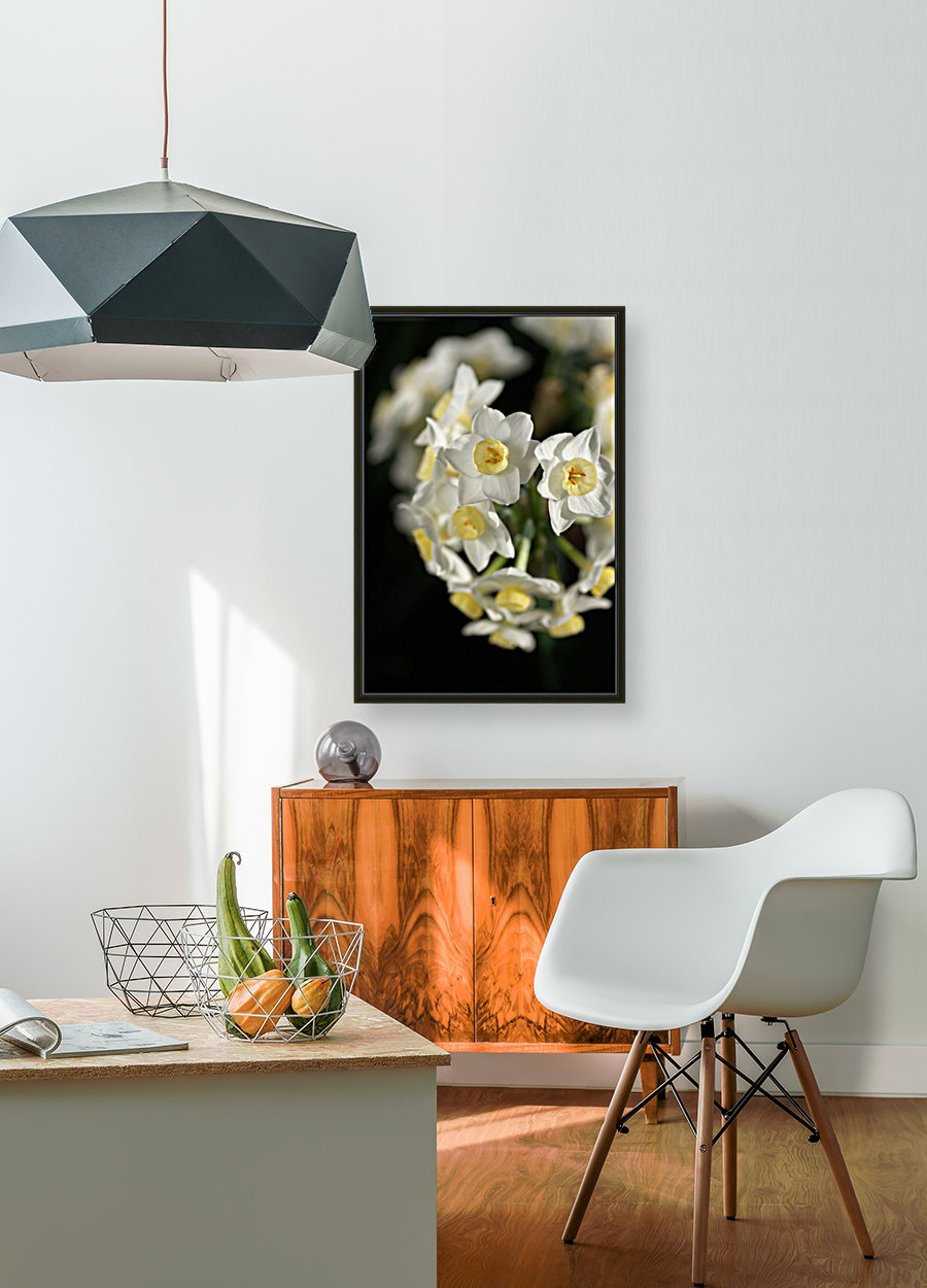 Jonquils In White Reproduction