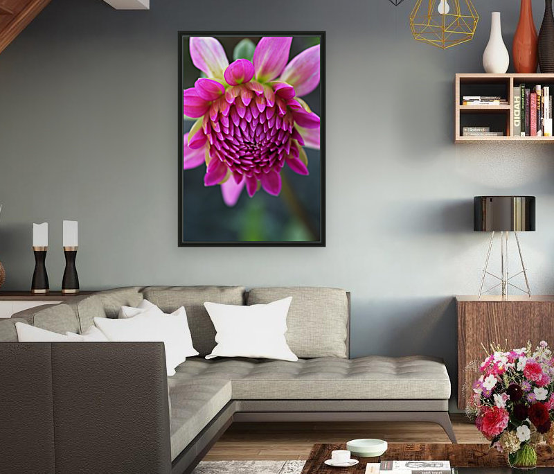 Dahlias Face Reproduction
