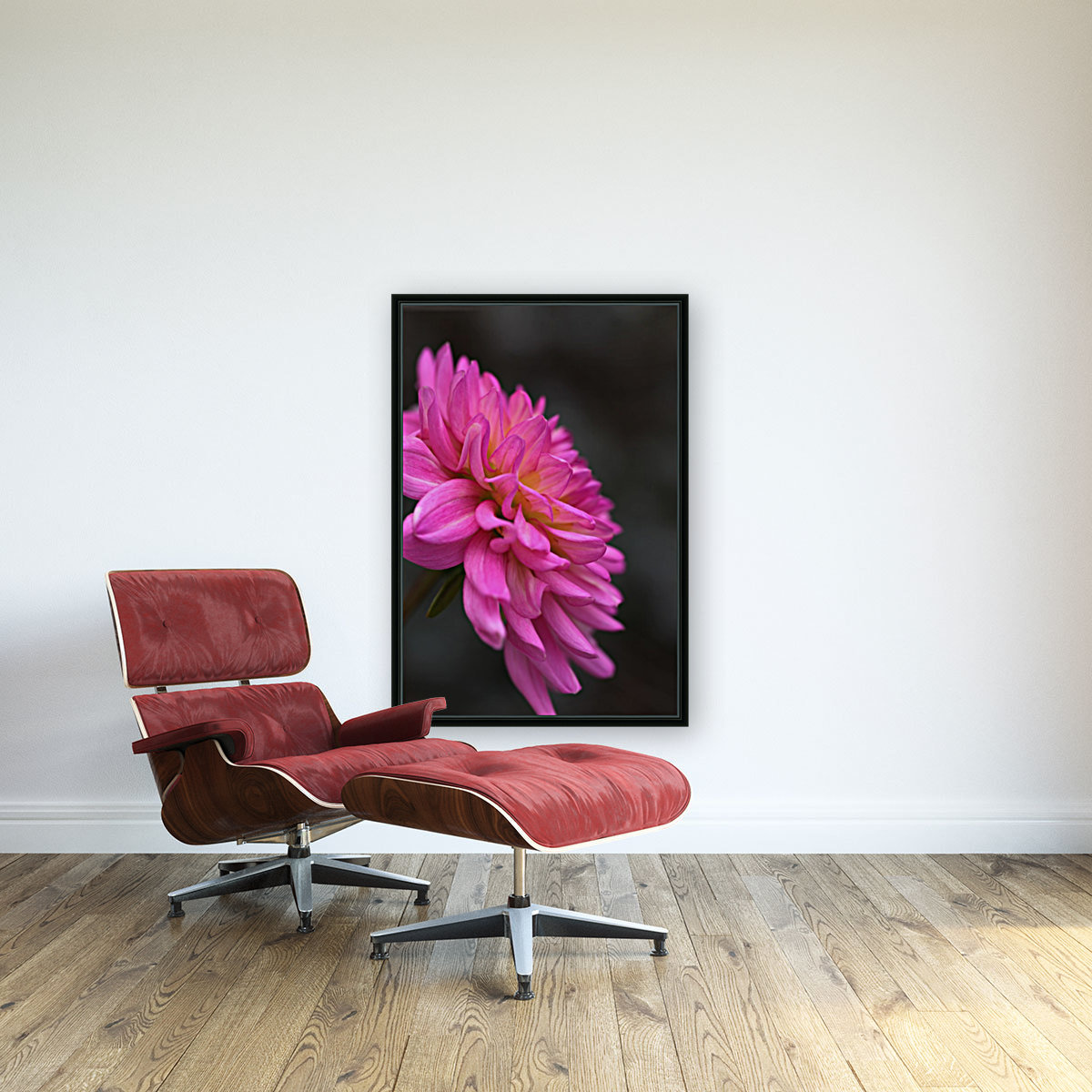 Bold Dahlia Reproduction