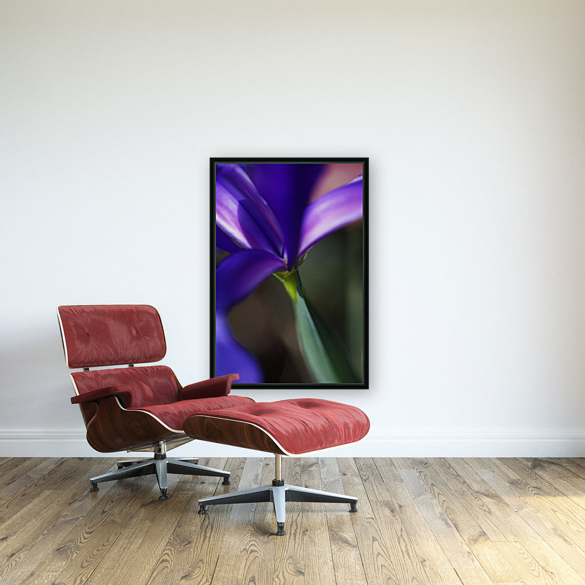 Rich Purple Iris Reproduction