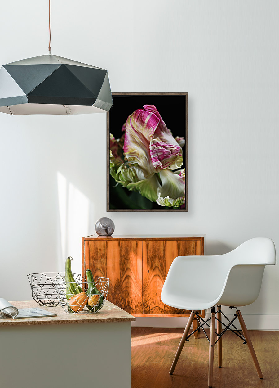 Parrot Tulip Reproduction