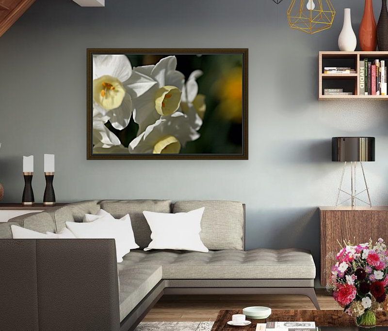 Jonquils  Reproduction