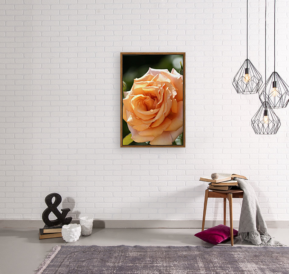 Open Orange Rose Reproduction